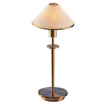 Aging Eye Mini Table Lamp