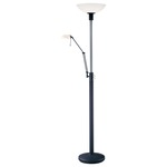 P257 Floor and Reading Lamp