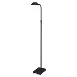 Wah Hoo Task Lamp