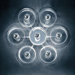 Fiore 173 Wall or Ceiling Light
