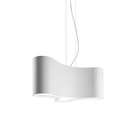 Ameba Pendant