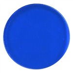 MR16 Colored Lens Filter