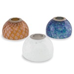 Firebird Glass Shield