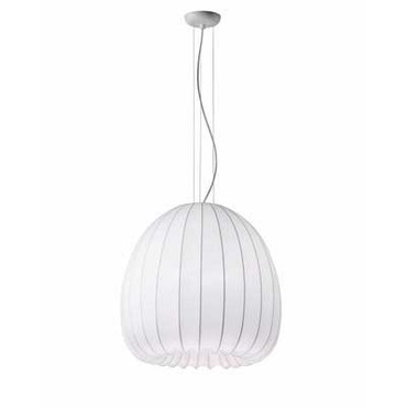 Muse Suspension