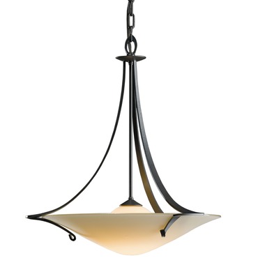 Antasia Suspension Antasia Suspension