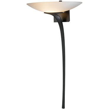 Antasia Bowl Antasia Bowl