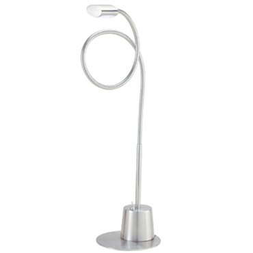 Eternity Extended Gooseneck Lamp