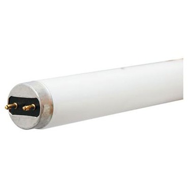 Ecolux Starcoat T8 G13 Base 32W 120V