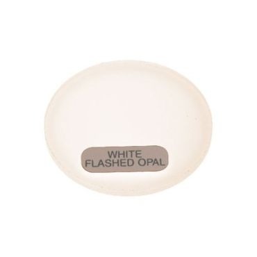 PAR30 White Flashed Opal Lens PAR30 White Flashed Opal Lens