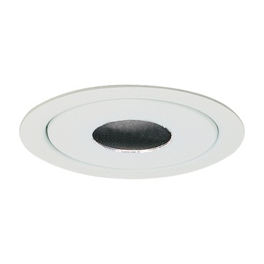 2011 Series 3.75 Inch Pin Hole Reflector Trim 2011 Series 3.75 Inch Pin Hole Reflector Trim