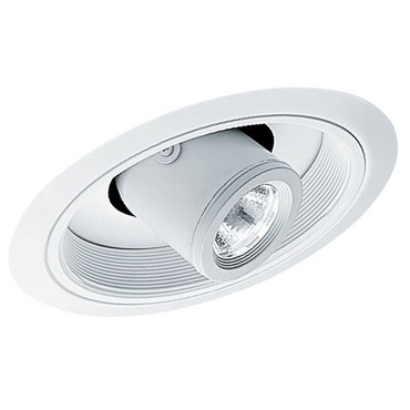 617 Sloped Cylinder Spotlight Trim
