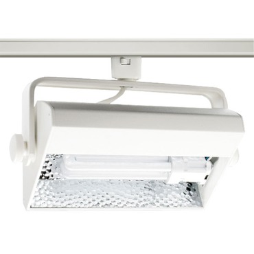 Trac-Master Mini Biax Wall Wash Head Trac-Master Mini Biax Wall Wash Head