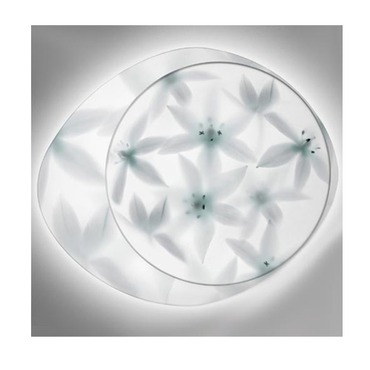Wagashi Media Wall / Ceiling Mount Wagashi Media Wall / Ceiling Mount