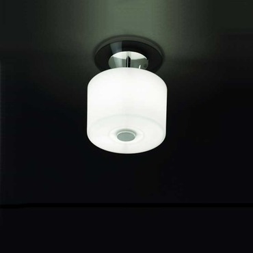Funghi Wall / Ceiling Mount