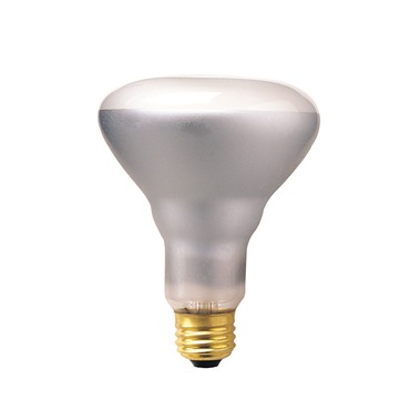 BR30 Medium Base 65W 120V