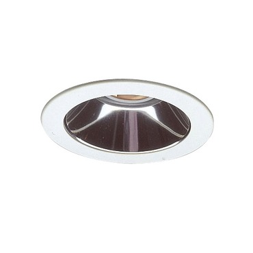 R4-421 4 Inch Adjustable Alzak Trim R4-421 4 Inch Adjustable Alzak Trim