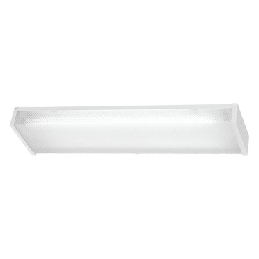 1010 Fluorescent Ceiling Mount