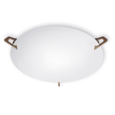 T-512 Series Wall / Ceiling Mount