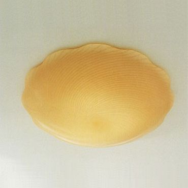Nubia PP Wall / Ceiling Mount Nubia PP Wall / Ceiling Mount