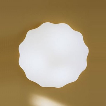 Nubia PP Wall / Ceiling Mount
