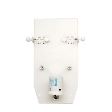 Incandescent Wall Sconce Back Plate