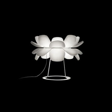 Infiore M-5807 Table Lamp Infiore M-5807 Table Lamp