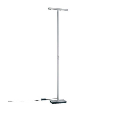 P-2455 Floor Lamp