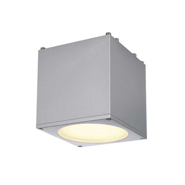 Big Theo Ceiling Flush Mount