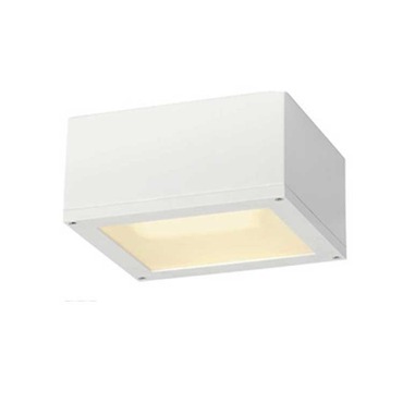 Theo CL Exterior Wall Sconce