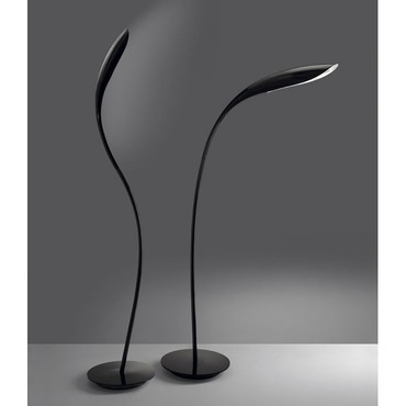 Doride Floor Lamp