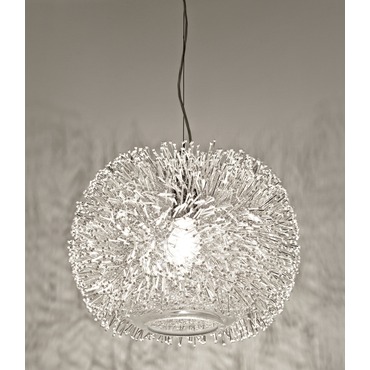 Sea Urchin Suspension Light