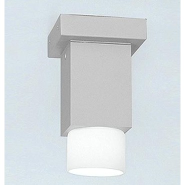 Dupla Halogen Ceiling Light 