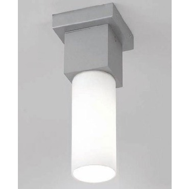 Dupla Indoor Outdoor Ceiling Light
