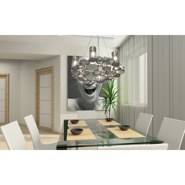 Fascination 6-light Chandelier by Varaluz