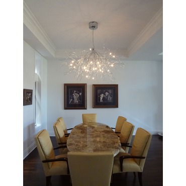 Saggina by Lightology Collection