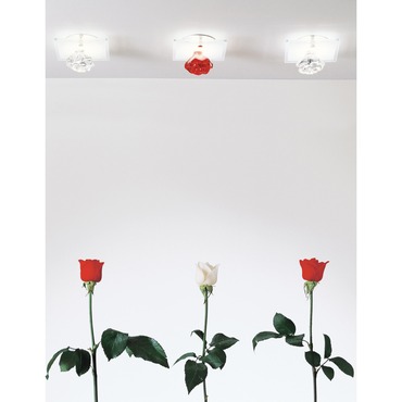 Shiraz Ceiling Light by Axo Light