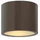 Luna Outdoor Ceiling Mount - Bronze / Etched Glass