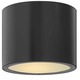 Luna Outdoor Ceiling Mount - Satin Black / Etched Glass