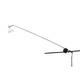 LC-Wally Display Lite Clamp - Chrome LC-Wally Display Lite Clamp - Chrome /