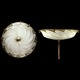 Scudo Saraceno Plain Ceiling Mount - Brass / Ivory Plain Scudo Saraceno Plain Ceiling Mount - Brass / Ivory Plain