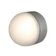 Micromoon Exterior Wall / Ceiling Mount - Satin/Brushed / Frosted