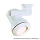 Lytespan Par-Tech PAR20 Bezel Shade - Matte White Lytespan Par-Tech PAR20 Bezel Shade - Matte White /