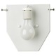 Madison Back Plate -  / 