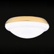 G110 Opal Low Profile Glass With Accent G110 Opal Low Profile Glass With Accent
