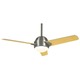 Trident Ceiling Fan - /