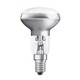 40W 120V Replacement lamp for Fucsia 40W 120V Replacement lamp for Fucsia