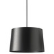 Twiggy Grande Pendant - Glass / Black