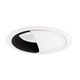 261 Series 6 Inch Scoop Wall Wash