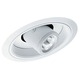 617 Sloped Cylinder Spotlight Trim - White / White
