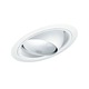 619 Sloped Eyeball Trim 619 Sloped Eyeball Trim